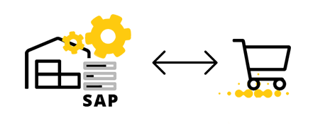 Referenz Heckert Solar SAP Schnittstelle