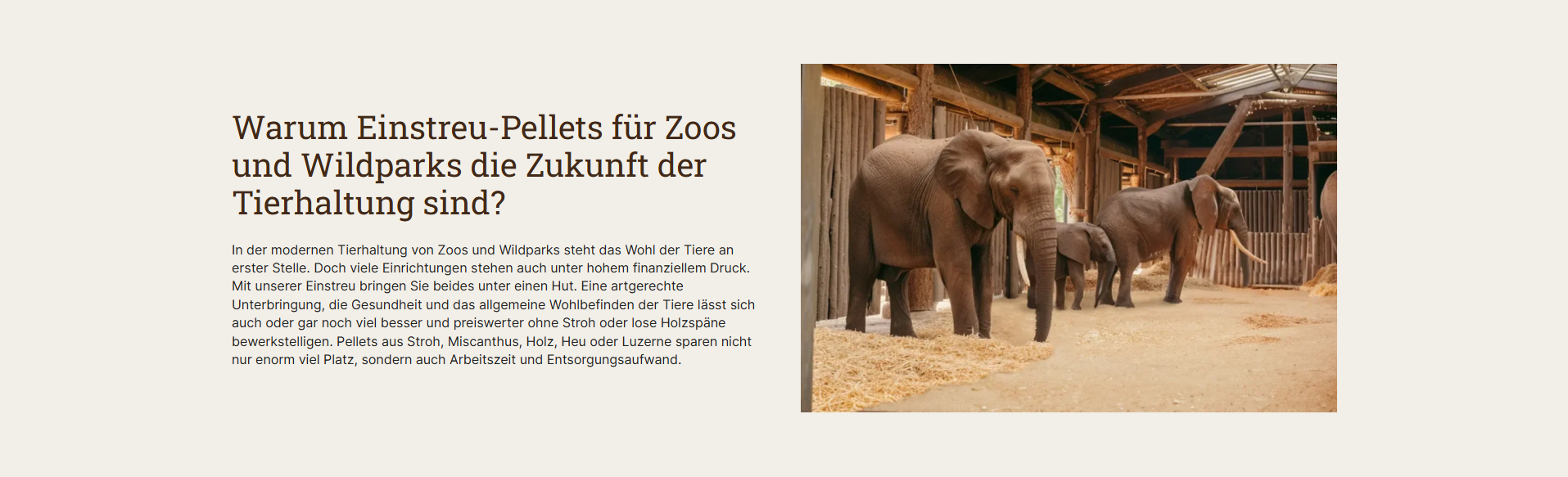 Storytelling & Contentmarketing im Shopware 6 Shop von Tier-Einstreu, umgesetzt von w3work